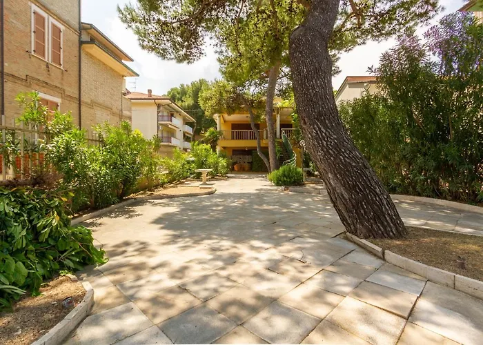 La Pinetina Trilo Pt - Myho Casa トルトレート